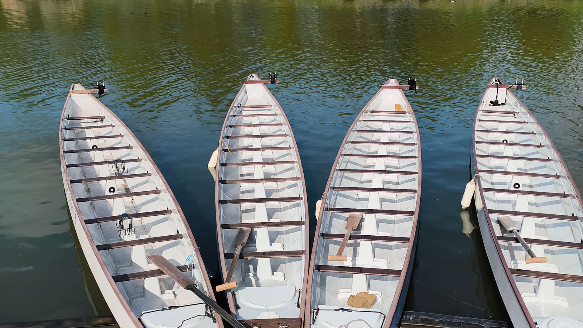 Drachenboot 3